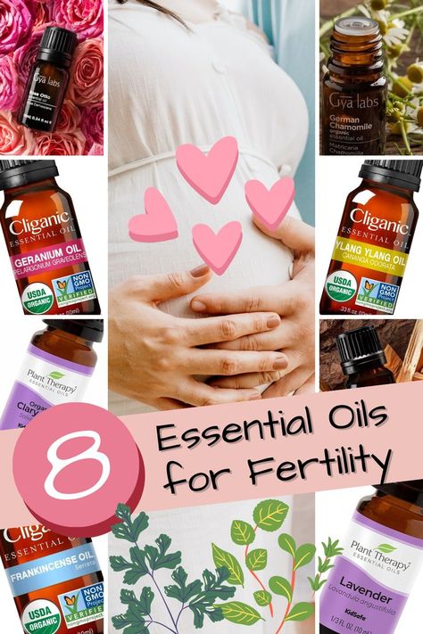 8 essential oils and pregnancy Oils For Fertility, Essential Oils For Fertility, Plant Therapy Essential Oils, Fertility Health, Improve Fertility, Ylang Ylang Essential Oil, Geranium Oil, Frankincense Oil, Plant Therapy