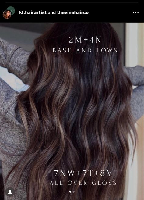 Mushroom Brown Hair Color Shades Eq, Dimensional Brunette Hair, Fall Brunette Hair Color, Warm Brunette Hair, Brunette Hair Color Shades, Warm Brunette Hair Color, Redken Products, Redken Formulas, Toner Formulas