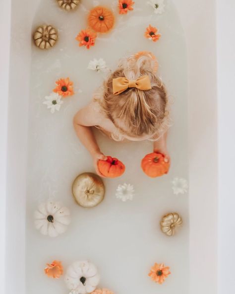 Create a seasonal themed milk bath for autumn with mini pumpkins, bows and flowers. Fall Milk Bath Photography, Pumpkin Milk Bath, Fall Milk Bath, Milk Bath Photography Pregnancy, Milk Bath With Flowers Photography, Floral Milk Bath Maternity, Pregnancy Milk Bath Shoot, Pumpkin Milk, Pumpkins And Flowers