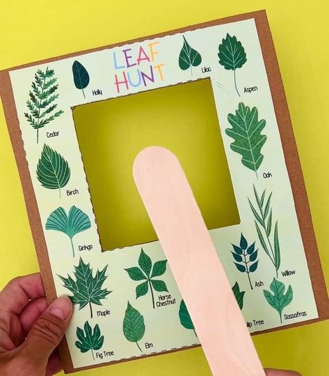 Leaf Hunt Printable, Leaf Scavenger Hunt, Leaf Hunt, Leaf Types, Forest Play, Shadow Activities, Nature Learning, Printables Preschool, Leaf Printable