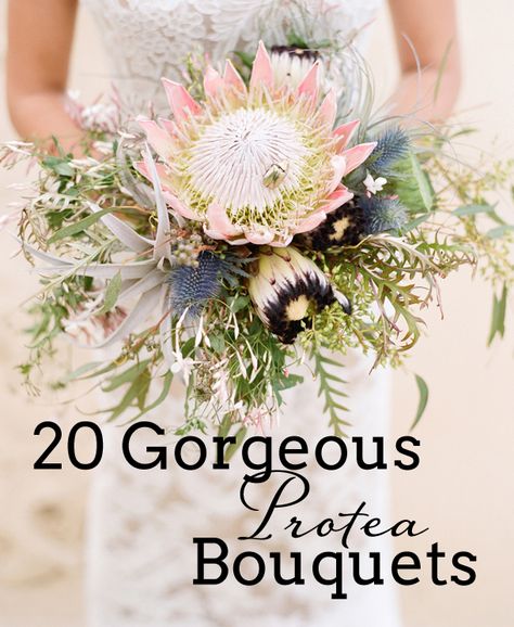 20 Gorgeous Protea Wedding Bouquets | SouthBound Bride Outdoor Wedding Altars, Wedding Personal Touches, Protea Wedding, Bride Groom Table, Protea Bouquet, Greenery Wedding Bouquet, Lush Wedding, South African Weddings, Madison Wedding