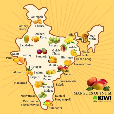 Indian Diversity, Mango Types, Soupy Noodles, Santana Dharma, Fruits And Vegetables List, Mango Varieties, Map Of India, Variety Food, General Awareness