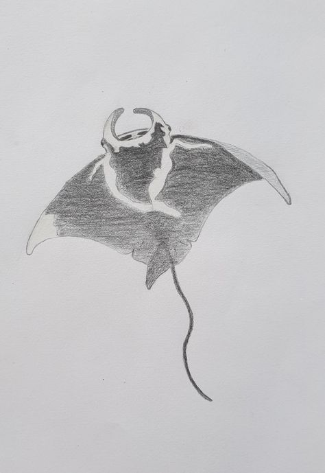 Drawing Manta Ray, Ocean Animals Drawing Realistic, Manta Ray Drawing Sketch, Mantaray Drawing, Stingray Sketch, Stingray Painting, Manta Ray Drawing, Stingray Drawing, Ray Drawing