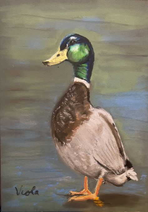 How To Paint A Duck, Duck Painting Acrylic, Duck Painting Easy Acrylic, Duck Painting, Ducks Painting Acrylic, Pintail Duck Painting, Colorful Duck Painting, Painting Ducks Acrylic, Goose Drawing