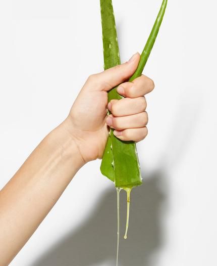 Aloe Vera Benefits, Fresh Aloe Vera, Remove Dark Circles, Peter Thomas Roth, Cosmetics Ingredients, Forever Living Products, Aloe Vera Gel, Smell Good, Travel Size