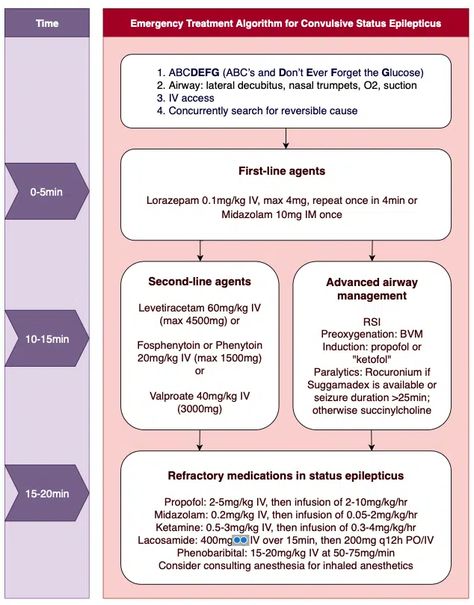 Emergency Management of Status Epilepticus | EM Cases Status Epilepticus, Airway Management, Life Friends, Medical Facts, Second Line, Emergency Management, Critical Care, Neurology, Paramedic