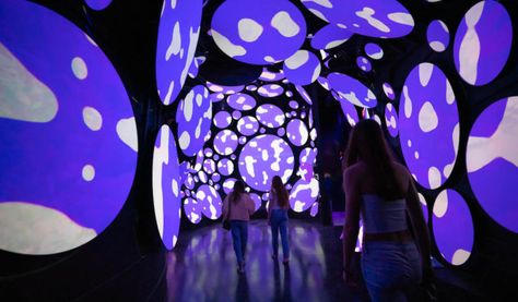 Experiential Art, Houston Restaurants, Park Pictures, Tree Carving, Projection Mapping, Interactive Art, New Museum, Japanese Textiles, Space Architecture