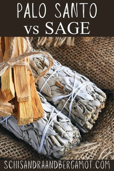 Let's explore palo santo vs sage! This is a comparison of Palo Santo, an aromatic wood from the Andes Mountains, and Sage, a common smudging herb. Sage And Palo Santo Smudging, Sage Vs Palo Santo, Incense Recipes, Palo Santo Smudging, Homemade Incense, Diy Diffuser Blends, Palo Santo Essential Oil, The Andes Mountains, Homemade Perfume