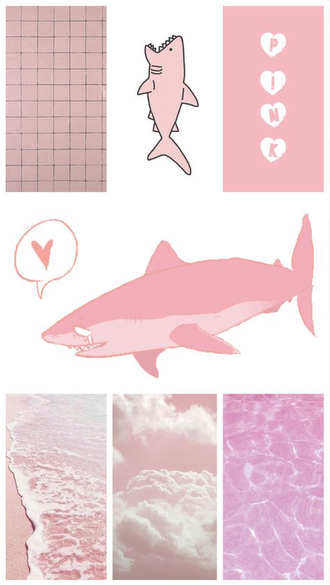 Pink Shark Aesthetic, Pink Shark Wallpaper, Shark Aesthetic Wallpaper, Shark Aesthetics, Shark Wallpaper Iphone, Shark Background, Pink Shark, Shark Illustration, Shark Pictures