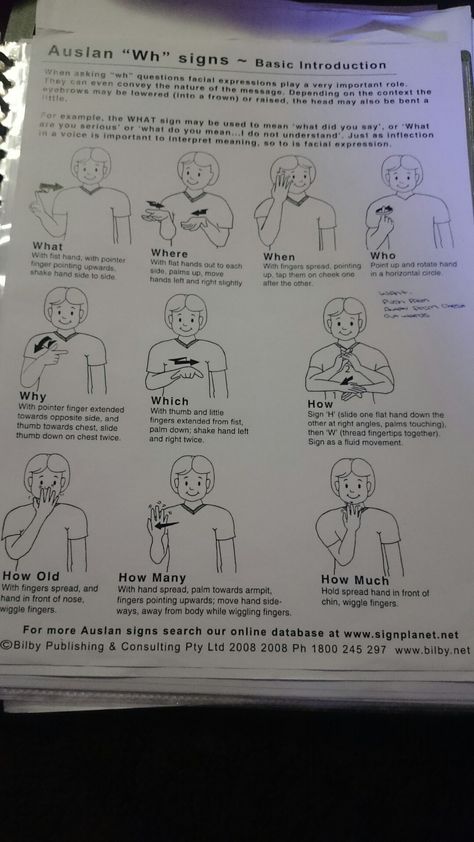 From my notes at Auslan school Australian Sign Language For Beginners, Auslan Sign Language Australia, Nzsl Sign Language, Sign Language Sentences, Sentences In Sign Language, Auslan Sign Language Australia For Kids, Sign Language Sentence Structure, You're Welcome Sign Language, Australian Sign Language