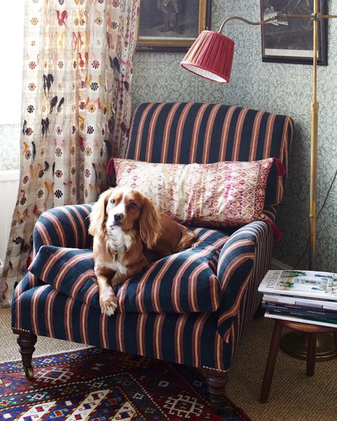 Bailey is sitting cosy on our armchair in the chenille stripe. A generously proportioned armchair with down-filled cushions for extra comfort. Our reading lamp in antique brass and our wallpaper Kiri sage finish off this corner setting. The curtain behind is the original Anatolian weave that inspired our Karsamba fabric. Saturday Plans, Striped Armchair, Antique Armchair, Robert Kime, Striped Sofa, Nagel Design, Antique Interior, Fabric Lampshade, Antique Fabrics