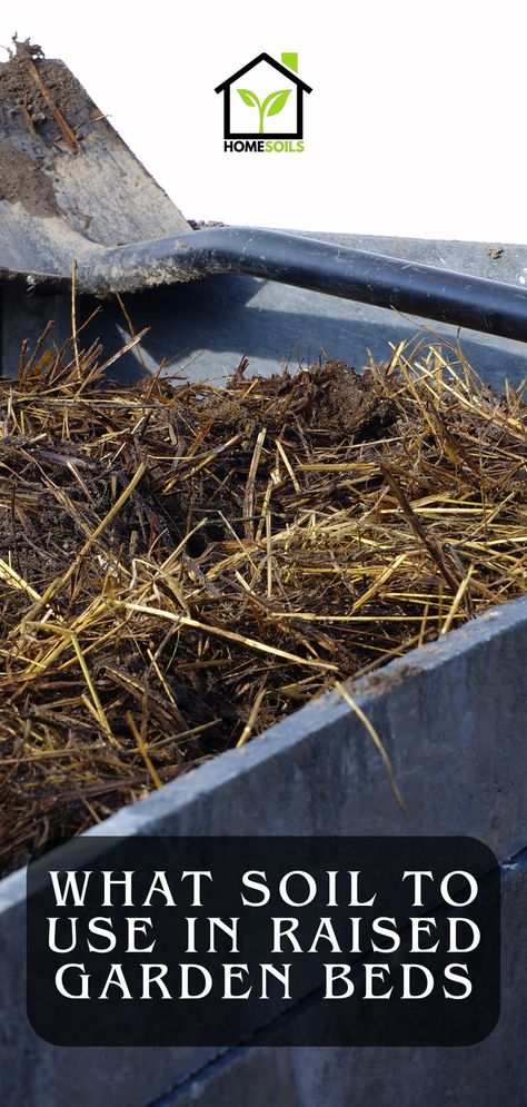 what soil to use in raised garden beds Garden Bed Soil, Elevated Beds, Raised Garden Bed Soil, Acid Loving Plants, Soil Ph, Peat Moss, Traditional Garden, Soil Improvement, Top Soil