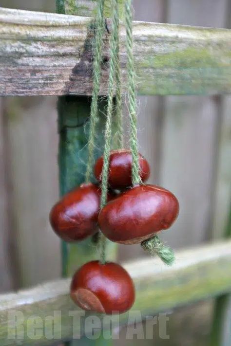 How to Play Conkers (Horse Chestnuts) - Red Ted Art - Make crafting with kids easy & fun Buckeye Crafts, Red Ted Art, Childhood Games, Chestnut Horse, Autumn Crafts, Traditional Games, Noel Christmas, Easy Crafts For Kids, Nature Crafts