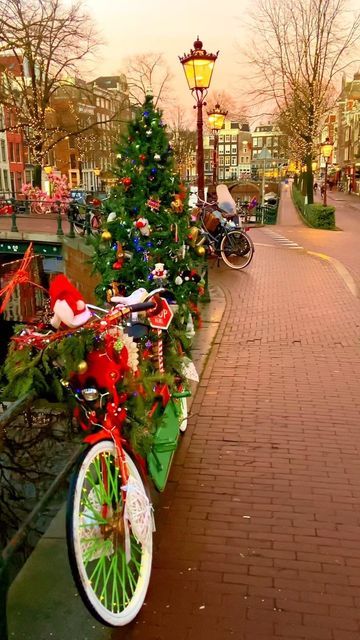 PHOTOGRAPHER AMSTERDAM on Instagram: "Christmas Amsterdam 🧡🎄✨ In the profile you can see my photo shoots that I did for my clients. Book your photo shot in DM @photographer.amsterdam See you! 📸 📍Amsterdam bridge 69 🚲@flowerbikeman #photographeramsterdam #amsterdamphotographer #amsterdamphotography #amsterdamcity #holland #travel #vacation #tlpicks #earthpix #amsterdam🇳🇱 #thenetherlands #cozy #streetphotography #nl #amsterdam #christmas #amsterdamlife #dutch #beautifuldestinations #netherl Christmas In Holland, Amsterdam Bridge, Amsterdam Christmas, Holland Travel, Amsterdam Photography, Amsterdam Canals, Amsterdam City, Instagram Christmas, Christmas Photoshoot