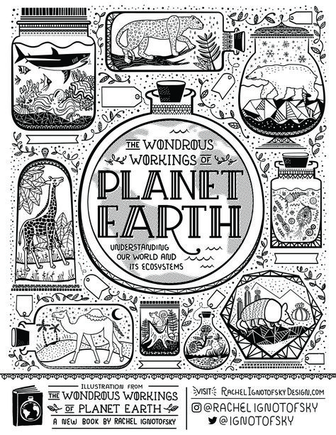 Earth Day Activities and Printables | Brightly Rachel Ignotofsky, Earth Day Printables, Steam Lessons, Elementary School Science, Library Crafts, Books A Million, Earth Day Activities, Science Curriculum, Learning Science