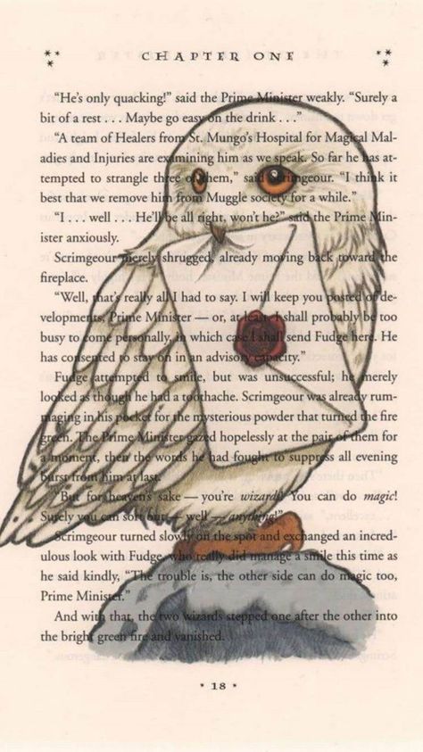 Funny Harry Potter, Art Harry Potter, Harry Potter Nursery, Harry Potter Book, Images Harry Potter, Book Page Art, Harry Potter Decor, Potter Art, Harry Potter Drawings