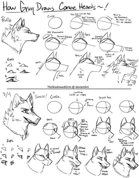 Wolf Art Drawing, Wolf Sketch, Canine Drawing, Drawing Heads, Wolf Drawing, Canine Art, Sketches Tutorial, Creature Drawings, Drawing Expressions