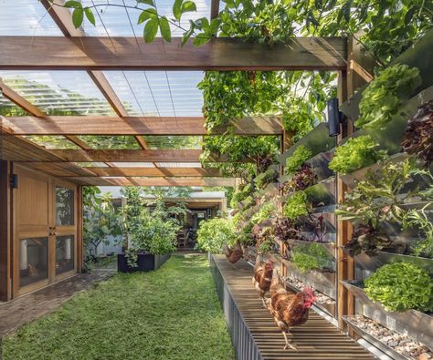 Self Sustaining, Modern Outdoor Spaces, Permaculture Gardening, Vertical Gardens, Aquaponics System, Farm Design, Contemporary Garden, Chicken Coops, Australian Homes