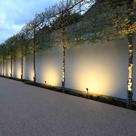 G 3 Front Elevation Design, 25 Feet Front Elevation Modern, Boundary Wall Design Exterior Modern, Boundary Wall Design Exterior, Exterior Lighting Ideas, Garden Exterior, Fence Wall Design, Outdoor Hacks, Garden Wall Lights