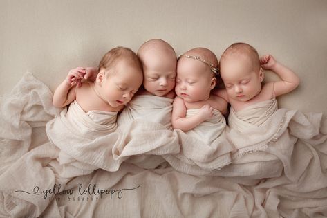 4 newborn babies posed sleeping together, neutral set up Lollipop Photography, Yellow Lollipop, Multiple Births, Multiples Baby, Newborn Photography Studio, Photography Newborn, Newborn Photoshoot, Newborn Pictures, Photographing Babies