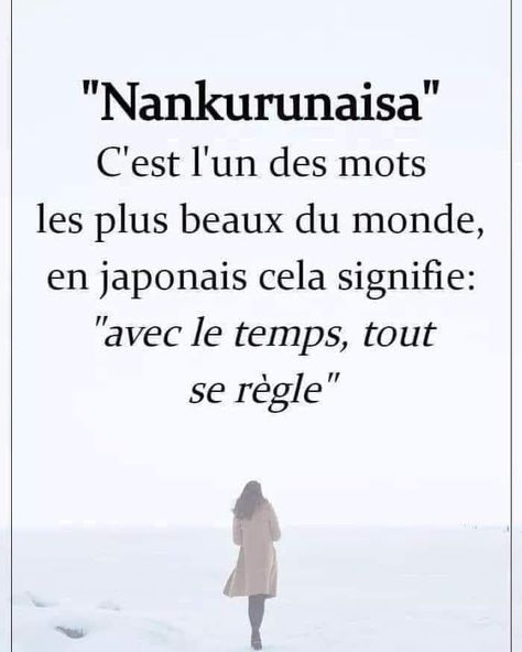 Citation Zen, Zen Quotes, Positive Mantras, French Expressions, Proverbs Quotes, Weird Words, Rare Words, French Quotes, September 19