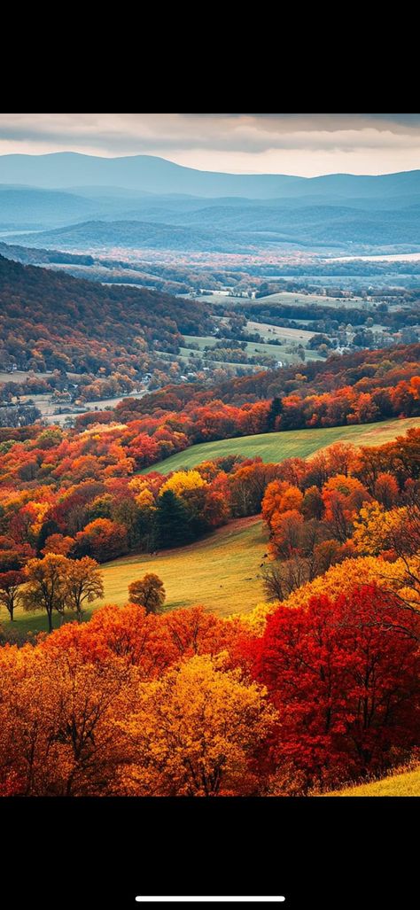 Virginia Aesthetic, Pretty Landscapes, Autumn Beauty, Main Street, Fall Vibes, Virginia, Maine, Beauty