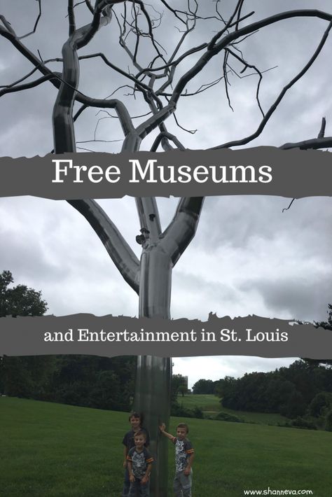 Free Museums and Entertainment in St. Louis, MO. If you're looking for free activities while in St. Louis here are reviews of the Art Museum and the St. Louis Science Center. Day Trips From St Louis, What To See In St Louis, Epic Family Vacations, Family Friendly Vacation Destinations, Saint Louis Art Museum, St Louis Aquarium, City Museum St Louis, City Museum, Toddler Travel