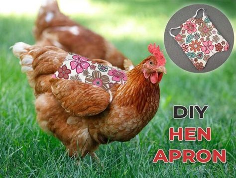 Chicken Molting, Chicken Boredom, Hello Sewing, Egg Apron, Chicken Clothes, Chicken Pecking, Chicken Saddle, Chicken Aprons, Dog Crossbreeds