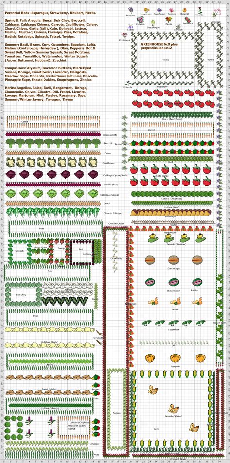 Victory Garden Plans For Family Of 6, Vegetable Garden Layout In Ground, Victory Garden Layout, Victory Garden Plans, Veggie Garden Layout, Victory Gardens, Allotment Garden, Companion Gardening, Growing Tomatoes In Containers