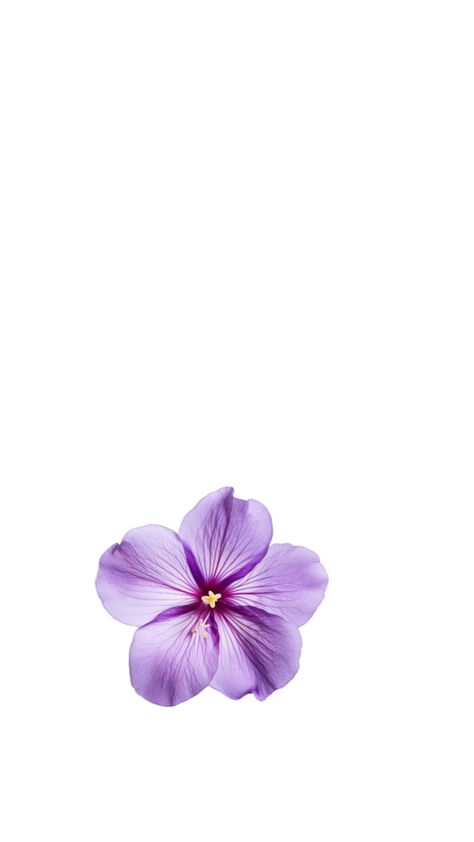 Purple Flower Lockscreen, Lila Wallpaper Phone Wallpapers, Violet Aura Aesthetic, Simple Purple Wallpaper Iphone, Purple Flowers Wallpaper Iphone, Purple Asthetics Photos, Wallpaper Iphone Light Purple, Wallpaper Iphone Violet, Purple Screensaver