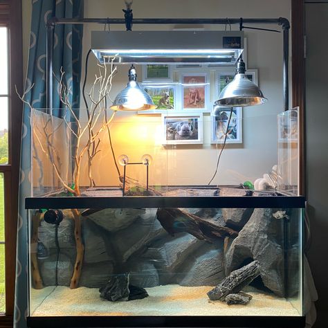 Terrapin Tank Ideas, Reptile Paludarium, Diamondback Terrapin, Turtle House, Fishing Pond, Diy Background, Diy Tank, Turtle Tank, Terrapin