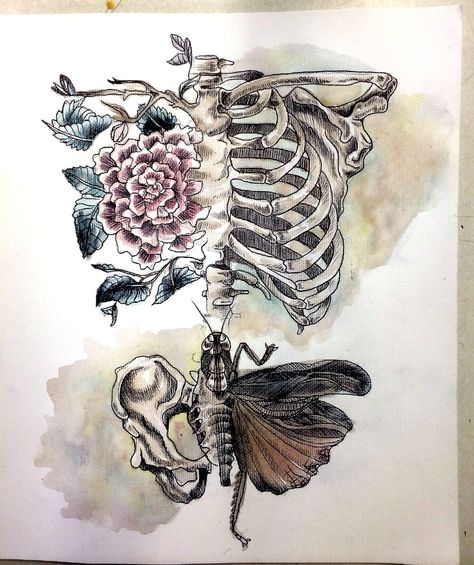 Biro and watercolour   Rebecca Ladds critical study  My baby girl is so talented Man Vs Nature, Tattoo Butterfly, Study Break, 1 Tattoo, Gcse Art, A Level Art, Trendy Tattoos, Anatomy Art, Piercing Tattoo