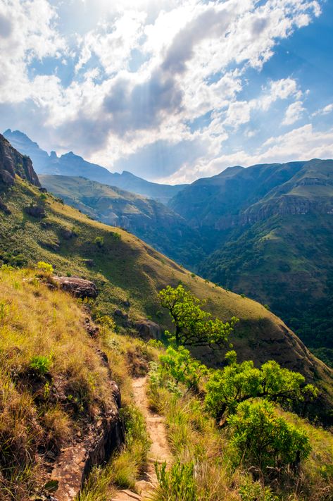 Nature South Africa, Africa Forest, African Mountains, Africa Nature, Drakensberg Mountains, Gross Things, African Landscape, African Skies, Eagle Painting