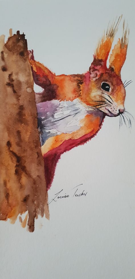 Red Squirrel Painting, Red Squirrel Drawing, Red Squirrel Tattoo, Painting Squirrels, Watercolour Squirrel, Watercolor Squirrel, British Wildlife Art, Squirrel Watercolor, Scottish Wildlife