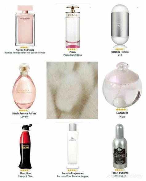 Musk Fragrances❣️ Prada Candy Kiss, Sarah Jessica Parker Lovely, Narciso Rodriguez For Her, Carolina Herrera 212, Musk Perfume, Prada Candy, Fragrances Perfume Woman, Perfume Collection Fragrance, Body Smells