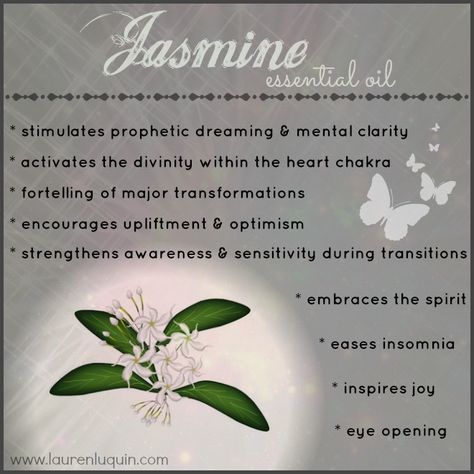 Jasmine Properties Magic, Jasmine Flower Magical Properties, Magical Properties Of Jasmine, Jasmine Witchcraft Uses, Jasmine Flower Spiritual Meaning, Jasmine Flower Benefits, Jasmine Incense Meaning, Jasmine Incense Benefits, Jasmine Magical Properties