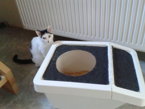 Top entrance litter box http://www.ikeahackers.net/2014/02/top-entrance-litter-box-with-sortera-3.html Ikea Hacks For Cats, Top Entry Litter Box, Ikea Cat, Diy Litter Box, Katt Diy, Diy Chat, Litter Tracking, Cat Toilet Training, Cats Stuff