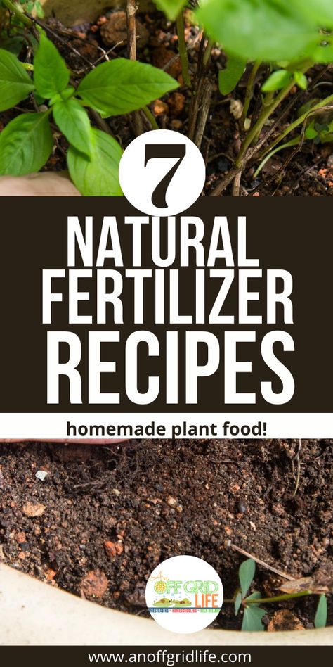 Plant Food Diy, Home Made Fertilizer, Homemade Plant Fertilizer, Organic Plant Fertilizer, Homemade Plant Food, Grass Fertilizer, Natural Plant Fertilizer, Organic Liquid Fertilizer, Affordable Landscaping