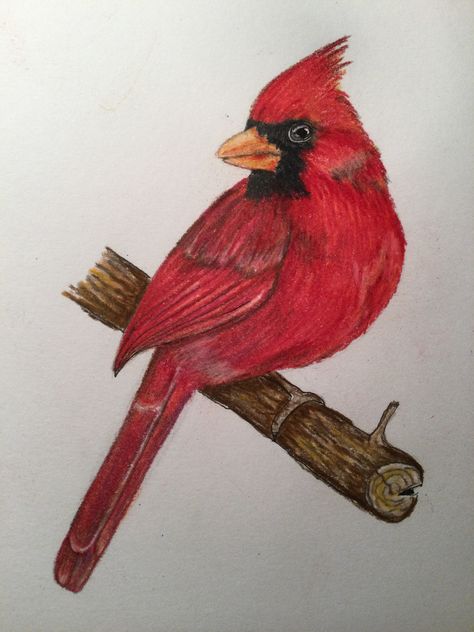 Cardinal Drawing Simple, Cardinal Drawing, Cardinal Birds Art, Birds Drawing, Bird Pics, Bird Painting Acrylic, Color Knowledge, Wooden Birds, Carved Wooden Birds