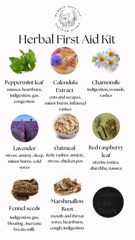 Herbal first aid kit pt 1 Herbal First Aid Kit, Herbal First Aid, Herbal Medicine Recipes, Herbal Remedies Recipes, Medicinal Herbs Garden, Medical Herbs, Food Health Benefits, Magic Herbs, Natural Healing Remedies