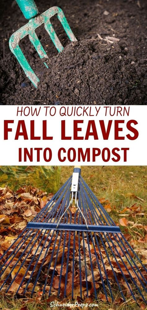 Compost is a gardener's "black gold" and you can make a lot of it for free this winter. With just two basic ingredients, you can make all the compost you need for your vegetable garden, fruit trees, and even ornamentals. Learn how to turn leaves into compost in this step by step guide. #organicgardening #growingFood #simpleliving #homesteading Cozy Vegetable Garden, Greenhouse Garden Beds, In Ground Composting, In Ground Gardening, How To Make Compost For Garden, Micro Homestead, Lazy Gardening, In Ground Garden, Fruit And Vegetable Garden