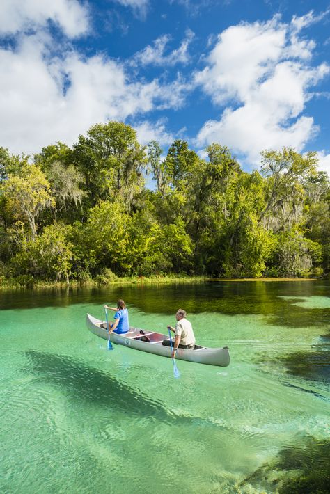 With many gorgeous beaches, the water-filled wonderland of Everglades National Park and incredible theme park delights (including big-hitters Walt Disney World, Universal Studios and Busch Gardens), Florida is always going to draw crowds. Everglades Aesthetic, Florida Vibes, Miami Trip, Trip To Florida, South Beach Florida, Biscayne National Park, Florida Everglades, Florida Parks, Florida Camping