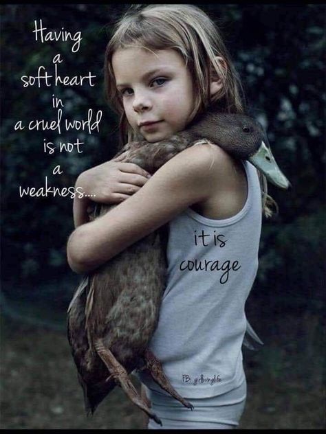 Soft Heart, Animal Quotes, A Quote, Wise Quotes, True Words, Great Quotes, Wisdom Quotes, Beautiful Words, True Quotes