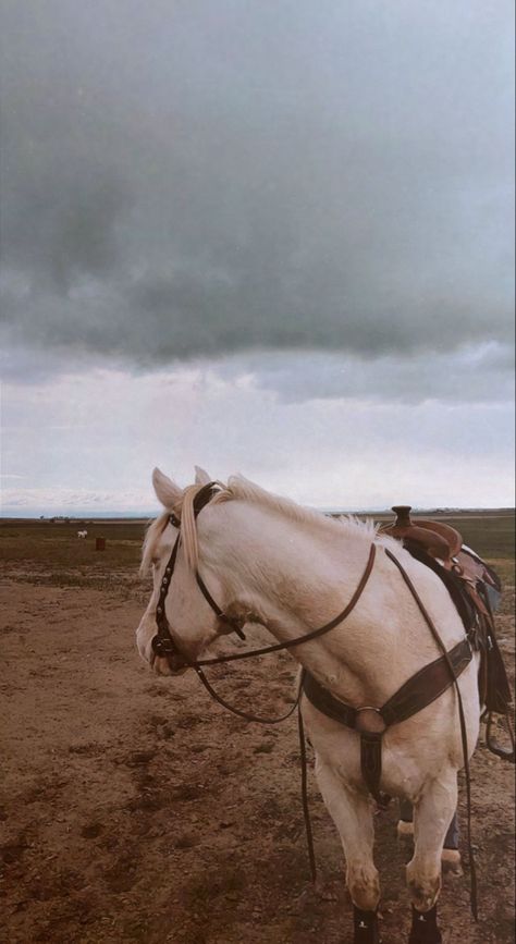 Western Nature Aesthetic, Horses Western Aesthetic, Horse Nature Aesthetic, Gray Horse Aesthetic, Horse Back Riding Aesthetic Western, Western Aesthetic Wallpaper, Western Photography, Horse Heart, Farm Lifestyle