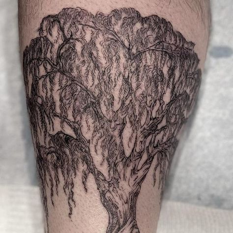 Alice Blaschke on Instagram: "I had such a wonderful time tattooing these willow trees on this mother and son 💚" Mother Willow Tattoo, Willow Tree Back Tattoo, Weeping Willow Tattoo, Willow Tattoo, Willow Tree Tattoo, Tree Tattoo Back, Willow Tree Tattoos, Nature Tattoo Sleeve, Willow Trees