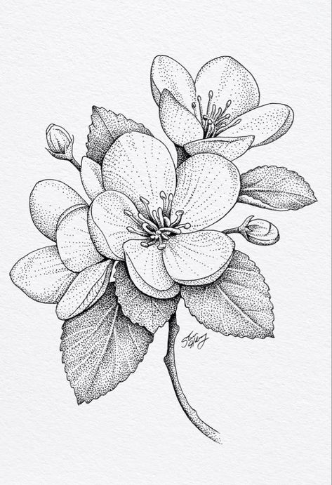 Stippling Art, Flower Line Drawings, Flower Drawing Tutorials, Flower Art Drawing, White Drawing, Flower Sketches, Floral Drawing, Plant Drawing, Black And White Drawing