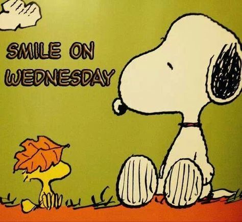 Snoopy October, Wednesday Greetings, Peanuts Comic Strip, Peanuts Cartoon, Snoopy Quotes, Snoopy Pictures, Snoop Dog, Joe Cool, Snoopy Love