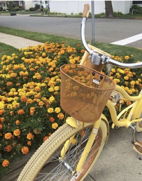 Bike Aesthetic Vintage, Bree Prescott, Archer's Voice, Archers Voice, Bike Aesthetic, Aesthetic Nature, Womens Bike, Yellow Aesthetic, Aesthetic Vintage