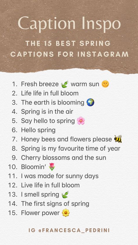 The best 15 spring caption for your Instagram posts! 🌼 #instagramcaptions  #springcaptions #captionideas #captionthis #captions Spring Insta Captions, Instagram Captions Spring, Spring Quotes Instagram, Spring Quotes Funny, Spring Captions Instagram, Spring Captions For Instagram, Easter Captions, Spring Social Media, Spring Captions