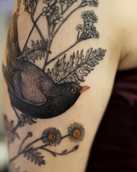 Dzo Lamka - Tattoo Majster (@dzo_lama) • Instagram photos and videos Sparrowhawk Tattoo, Birds Nest Tattoo, Starling Tattoo, Wagtail Tattoo, Starling House, Dzo Lama, Blackbird Tattoo, Tattoo Bible, Magpie Tattoo